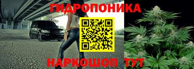 шишки Ярцево
