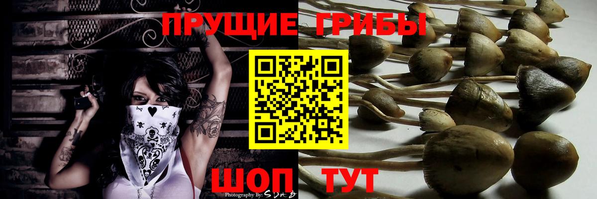 Кузнецк  Псилоцибиновые грибы ЛСД  Галлюциногенные грибы Cubensis  что такое наркотик  Вход с VPN 